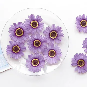 2-6cm/12PCS,Real lilla/gul presset blomst Grandis chrysanthemum kronblade,tørre blomst DIY bogmærke fotoramme lavere lampe makeup