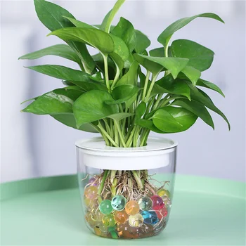 Kreative DIY Miljø-Aircondition-Anlægget Holder Urtepotte Urtepotter Hydroponiske Flower Pot 6*9cm Runde Gennemsigtige