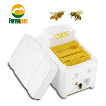 Queen bee opdræt parring bikube biavl af skum bestøvning max bee avls-skum boks biavl udstyr
